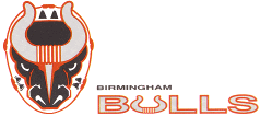 File:Birmingham Bulls 1990s logo.gif