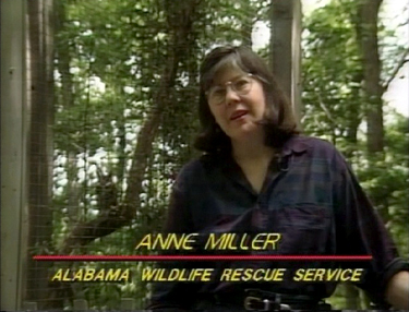 File:Anne Miller on Discovering Alabama.jpg