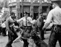 Bill Hudson's iconic photo of police dogs being used on Civil Rights protestors