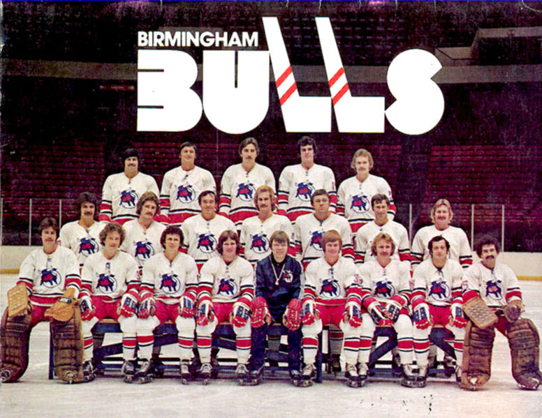 File:1976-77 Birmingham Bulls.jpg