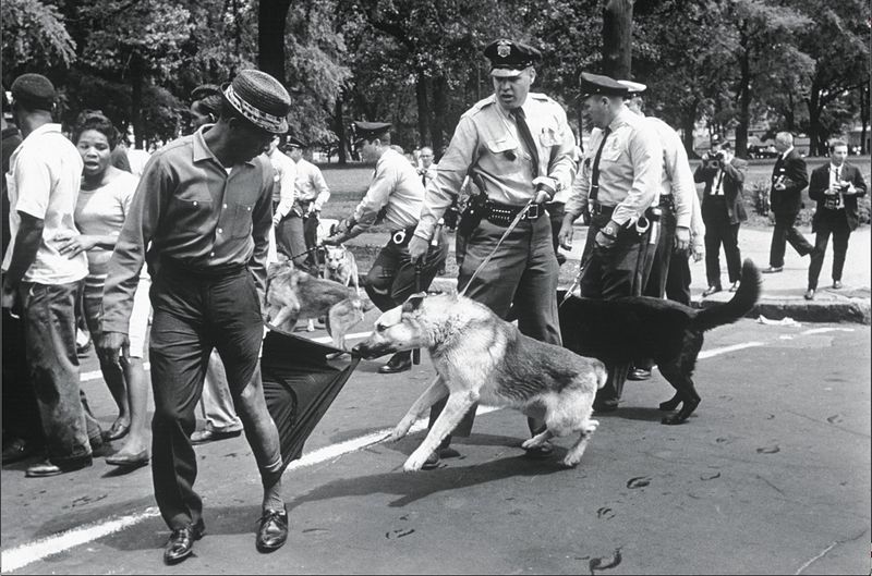 File:Moore - police dog tears pants.jpg
