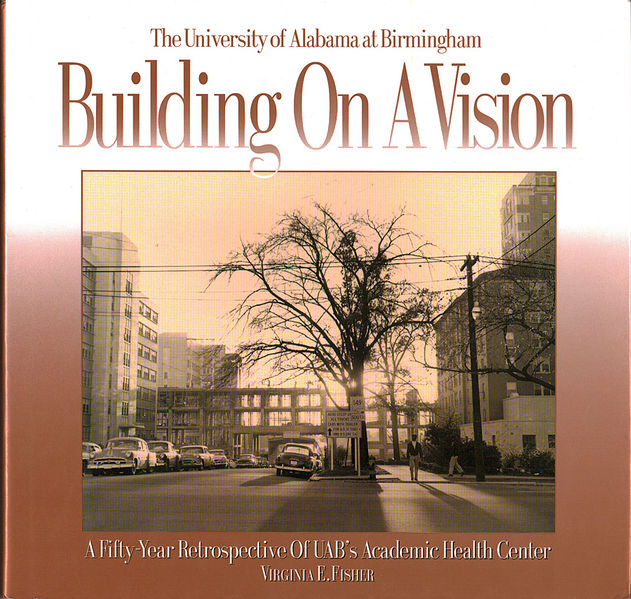 File:Building on a Vision book cover.jpg