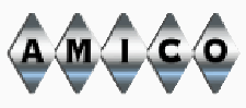 AMICO logo.png