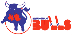 Birmingham Bulls 1980s logo.gif
