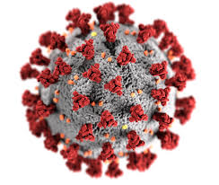 File:Coronavirus rendering.jpg