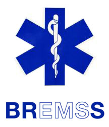File:BREMSS logo.jpg