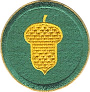 87th Training Support Division patch.jpg