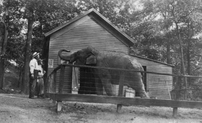 File:Avondale Zoo elephant house.jpg