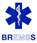 BREMSS logo.jpg